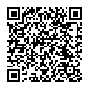 整个王家上下对她的态度才从表面的谦和变得彻底嫌恶起来的……所以二维码生成