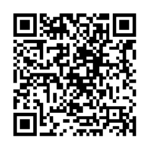 整个石碑的表面上布满了无数的密密麻麻的玄妙的纹路二维码生成