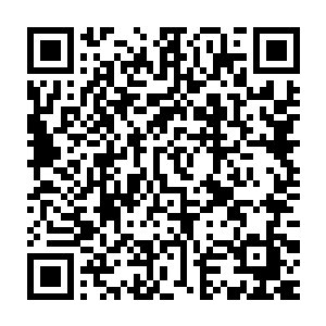 整个转运中队在值班和不在班儿的管教全都发现了楼门口这个理发摊二维码生成