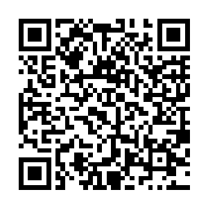 整容医生这个职业会跟现在制毒师一样成为先崩后问的存在二维码生成