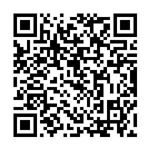 整座城市的钟声都――咣……咣……咣……的同时响了起来二维码生成
