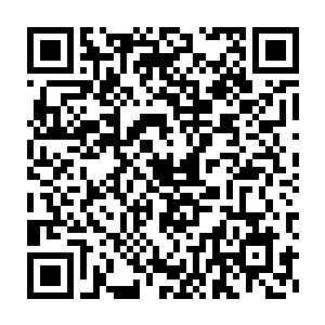 整座魔殿竟然是一件法宝而且还是一件达到了上品神器级别的法宝二维码生成