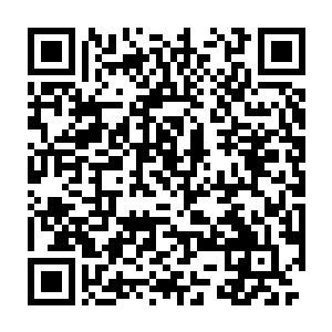 整张脸上的表情都已经没有语言可以形容――因为那小兄弟还在生长二维码生成