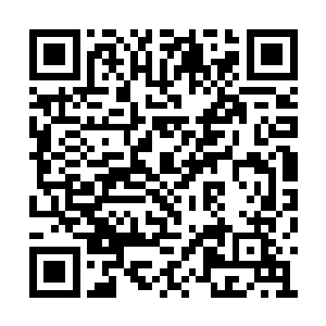 整整齐齐的排列着无数个大小不等的石凿储粮仓二维码生成