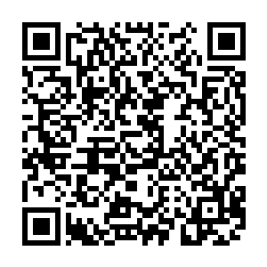 整根炮管上缭绕的玄奥繁复的魔法符文统统闪耀出了暗红色如鲜血凝固般的光彩二维码生成