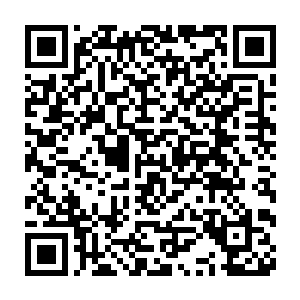 整片长街车辆破碎的玻璃呼喊的行人黎明破晓的天空尽数染成了鲜红二维码生成