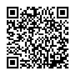 整起事件哈特曼先生仅仅凭借一路上看到的便分析的丝毫不差二维码生成