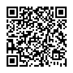 文中会慢慢出现正确或者说比较便利和快速的建房方法二维码生成