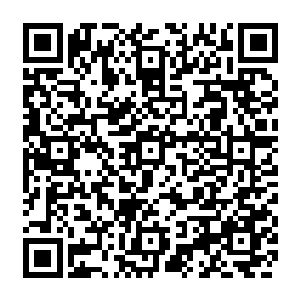 文件夹里全是一个相貌和班长有几分相似的日本爱情动作片女星的作品啊……对了二维码生成