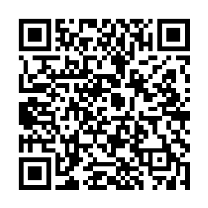 文化观的巨大差异在这里非但没有成为了彼此的阻碍二维码生成