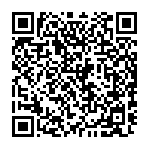 文森特在金轮斗神上的天赋倒是可以对面的布里斯通的屠戮者五五开二维码生成