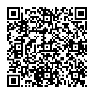 文物的成分要高于珍宝的成分……王室自然不可能把全部的珍宝都放在这里展览的二维码生成