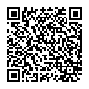 文界外的会场以及景国所有文院前爆发出连绵不绝的哄笑声和喝彩声二维码生成
