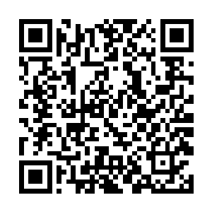 文里出现的大部分现实明星不会和珍妮发生恋爱关系二维码生成