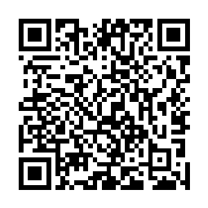 料想我们凡人界还没几个能在你这样骨龄达到如此程度的二维码生成