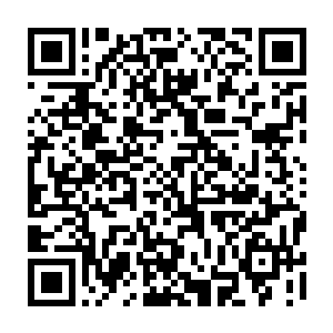 斯卡拉想到了塞尔内斯平原上那些被动作灵巧的野狼撕碎的一种叫土牛的动物二维码生成