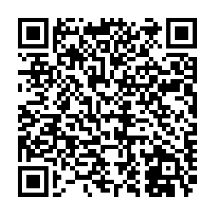 斯蒂文和他的男助手马克将同我和叶凝一道前往不死湖沼寻找几块传说中的骨头二维码生成