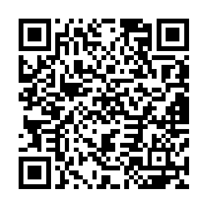 新任的两位党政主官无论是秦海基还是曹刚都对他不太感冒二维码生成
