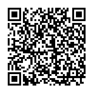 新成立的・现在在丰州投资兴建一家新型干法水泥生产企业・投资不小二维码生成