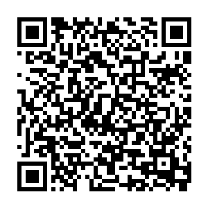 新生的暗精灵毒素之神在蜘后的蜘蛛神徽旁增加了一个青绿色的毒蛇徽记二维码生成