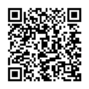 新组建的这支队伍是专门为了去古荒山脉为我们寻找修炼资源的二维码生成