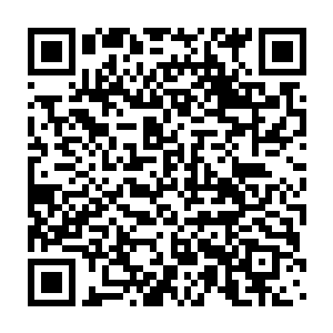 新蓝翔技工学校的厨师专业使用的食材居然全部都是世界上最顶级的二维码生成