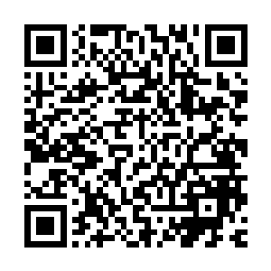 新郎这时候也懒得跟王彬彬去计较他说的话到底是真的还是假的二维码生成