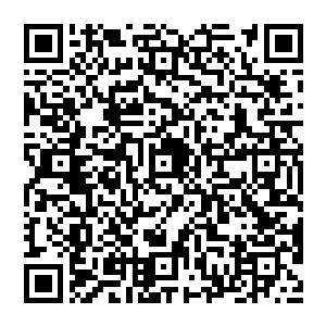 新闻工作者和伤残退伍老兵强烈支持远征的游行和集会在全联邦每一座大小城市的大街小巷轰轰烈烈展开二维码生成