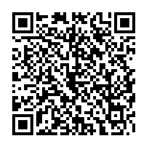 新闻里的恐怖袭击事件只不过是江北江南两大势力企图重新划分自己的版图而已二维码生成