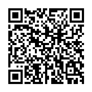 方圆万里内的一切硬生生的被六人战斗所造成的波动给摧毁了二维码生成