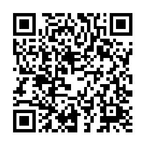 方恒就已经把这吞血真经记载的一切文字全部看了一遍二维码生成