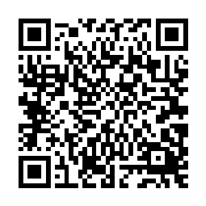 方恒的身影就猛然向着这法界宗掌门和血家家主的身后冲过去了二维码生成