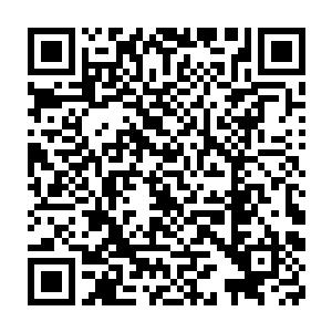 方才我等在议事厅商议如何协助少主主持好本次神武帝洞府开启事务二维码生成