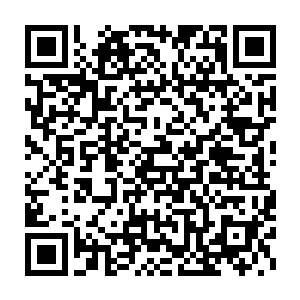 方才本宗细细梳理了番我们紫宵剑宗最近这数万年所发生的一切事迹二维码生成