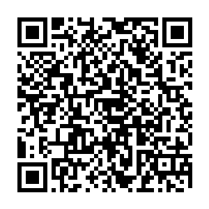 方才的高傲和不屑就在陈凌面无表情地砍下他的手又把剑顶在他的脖子上的瞬间二维码生成