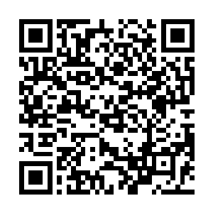 方才真气猛烈的撞击只是造成了堵塞的淤血发生了裂纹二维码生成