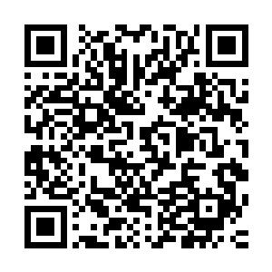 方才经过了打斗的少年人与小和尚此时也在昏暗之中缓缓走动二维码生成