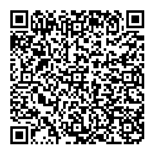 方炎就带着一群小伙伴们端着金黄色的香槟小口的抿着嘴里聊着的是尼采康德和价值与资本财富的分配之类关系整个人类社会的大问题二维码生成