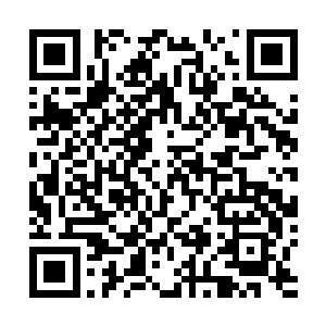 方炎脑补了一下将上心和陆朝歌撕扯和翻滚在一起的画面二维码生成