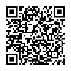 施家家主正在和下面的家族成员讨论施家未来的发展规划二维码生成