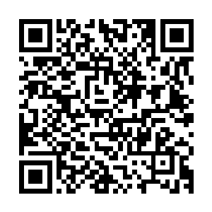 施展法门的化婴境修士……一切的一切罗川都能用天门意念看见二维码生成