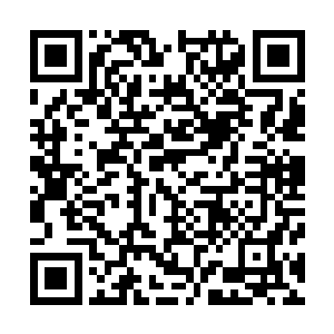 施展禁术强行与你父亲汇合……并且诞生你……倘若没有你二维码生成