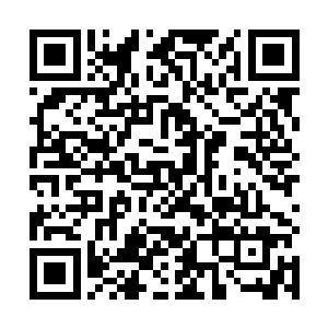 施志群拿着电话打给王启让他组织警力抓捕东北帮成员二维码生成