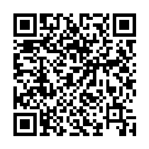 施瓦辛格那样的站在他面前绝对弱的和小鸡子差不多的壮汉二维码生成