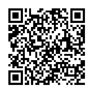 旁边一棵大树上一条几乎有大腿般粗大的蟒蛇正缠绕在树枝上二维码生成