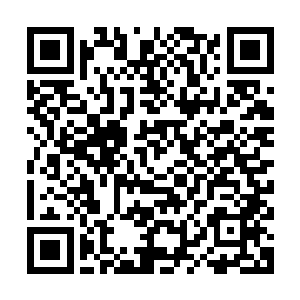 旁边一直在注意着院子里众人动作的靖南捕头此刻不由哼了一声二维码生成