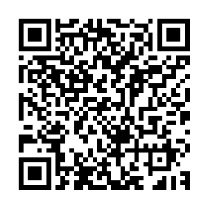 旁边一直在视频上着重关注着机甲表现的王世子微微眯眼问了句二维码生成