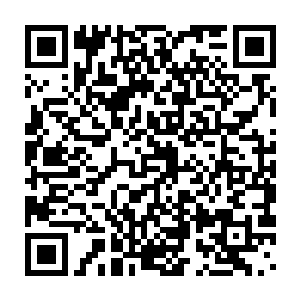 旁边林子健等人目瞪口张的看着那打死他们都不会相信的一幕……二维码生成