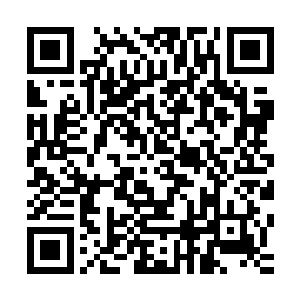 旁边的凤火舞和秦铮此时也被杨戬这一道恐怖的攻击给吓住了二维码生成