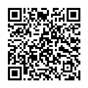 旋即就是墨绿色的长满了墨绿色鳞片的背部浮出水面二维码生成